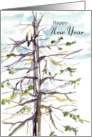 Happy New Year Hawk Winter Tree Winter Sky card