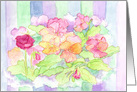 Pastel Pink Pansies Flowers Stripes Blank card