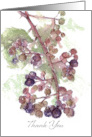 Thank you for Garden Produce Blackberries Fruit card