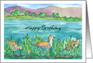 Happy Birthday Lake Shore Birds Watercolor Illustration card