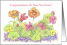 New Home Congratulations Orange Nasturtium Flowers card