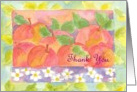 Apples for Teacher Thank You Card Fruit Watercolor card