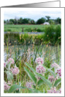 Pink Wildflowers Farmland Country House Photograph card