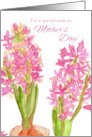 For A Special Aunt On Mother’s Day Pink Hyacinth card