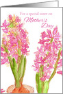 For A Special Sister on Mother’s Day Hyacinth Flowers card