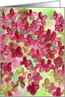 Burgundy Hydrangea Watercolor Flowers Blank card