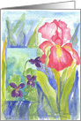 Pink Iris Purple Violets Watercolor Flowers Blank card