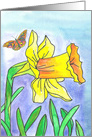 Yellow Daffodil Flower Butterfly Blank card