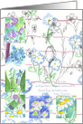 Daisy Sweet Peas Flower Collage Blank card