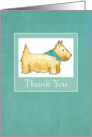 Thank You Wheaten Scottie Dog Watercolor Illustration card