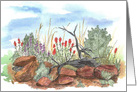 Indian Paintbrush Lupine Desert Wildflowers Blank card