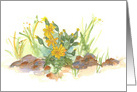 Desert Yellow Watercolor Wildflowers Blank card