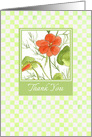 Thank You Orange Nasturtium Watercolor Flowers Blank card