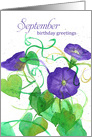 September Birthday Purple Morning Glory Watercolor Spatter card