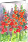 Orange Gladiolus Red Poppy Flowers Blank card