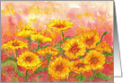 Marigold Calendula Flowers Orange Blank card