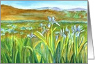 Wild Iris Flowers Mountain Landscape Blank card