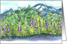 Purple Lupine Wildflowers Mountains Blank card