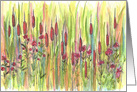 Cattails Plants Pink Wildflowers Blank card
