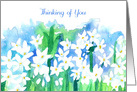 Thinking of You Narcissus Paperwhite Flowers card