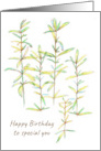 Happy Birthday To Special You Rosemary Herb card