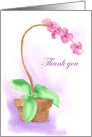 Thank You Pink Orchid Flower Plant Blank card