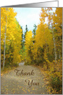 Autumn Leaves Aspen Trees Thank You card