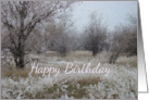 Winter Trees White Frost Birthday Card Nature Landscape card