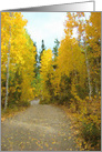 Autumn Trees Golden Leaves Road Blank card