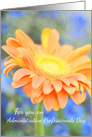 Adminstrative Professionals Day Orange Gerbera Daisy Photography card