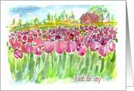 Just To Say Pink Tulip Fields House Blank card