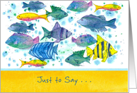 Just To Say School of Fish Blank card