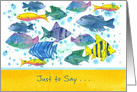 Just To Say School of Fish Blank card