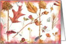 Happy Birthday Autumn Leaves Feathers Seeds card