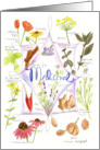 Medicinal Herb Health Garlic Peppermint Watercolor Illustrations card