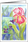 Pink Iris Purple Violets Blank Note Card