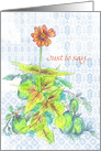 Zinnia Flower Tomatoes Just To Say Blank card
