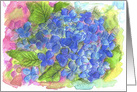Blue Hydrangea Watercolor Flower Blank card