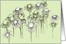 Herbs Coneflower Wildflowers Ink Drawing Blank card