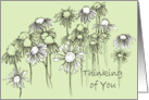 Thinking of You Coneflower Wildflowers Ink Drawing card