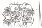 Thinking of You Black White Daisy Flower Garden card