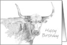 Happy Birthday Longhorn Farm Animal Drawing card