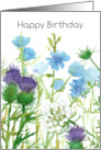 Happy Birthday Chicory Thistle Queen Anns Lace card