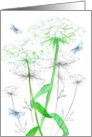 Queen Anne’s Lace Wildflower Blue Butterfly Blank card