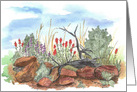 Lupine Indian Paintbrush Desert Wildflowers Blank card