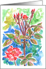 Red Rose Garden Watercolor Flowers Blue Blank card