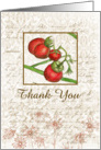 Thank You Blank Card Cherry Tomato Vegetable Illustration card