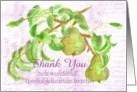 Thank You Special Education School Teacher Pears card