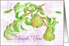 Thank You Watercolor Painting Pears Fruit Collage Blank card