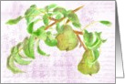 Pears Fruit Watercolor Painting Lilac Script Blank card